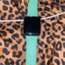 Apple Watch Series 1