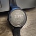 Garmin Forerunner 45 Watch