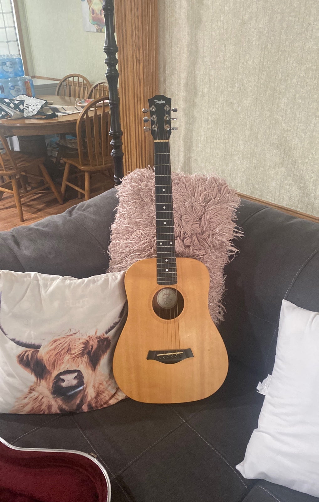 Acoustic Guitar baby taylor 301 wooden youth left handed with case