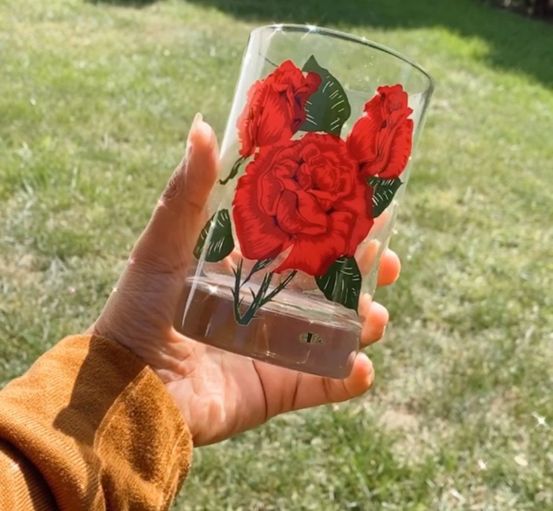 Mid century Ceraglass Roses Glasses Set