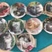 Franklin Mint Cat Collection Plates Nancy Matthews artist