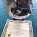 Franklin Mint Cat Collection Plates Nancy Matthews artist