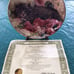 Franklin Mint Cat Collection Plates Nancy Matthews artist