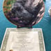 Franklin Mint Cat Collection Plates Nancy Matthews artist