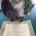 Franklin Mint Cat Collection Plates Nancy Matthews artist