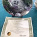 Franklin Mint Cat Collection Plates Nancy Matthews artist