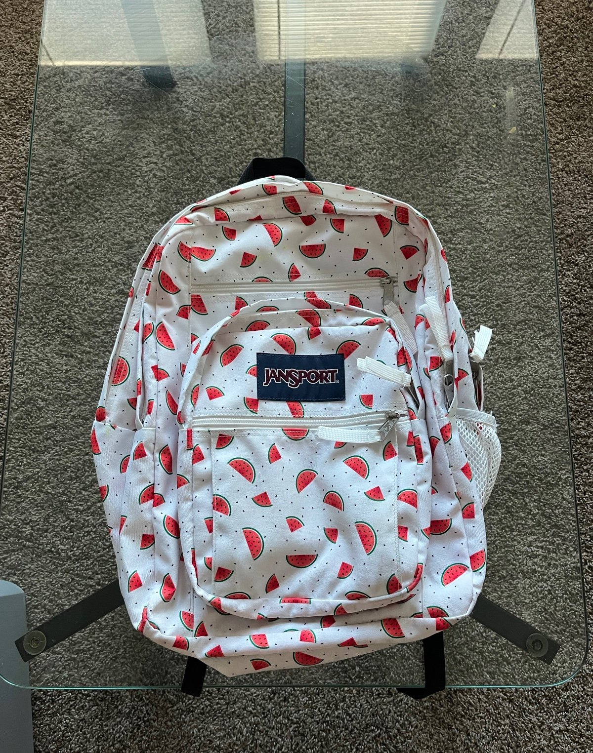 Jansport watermelon discount