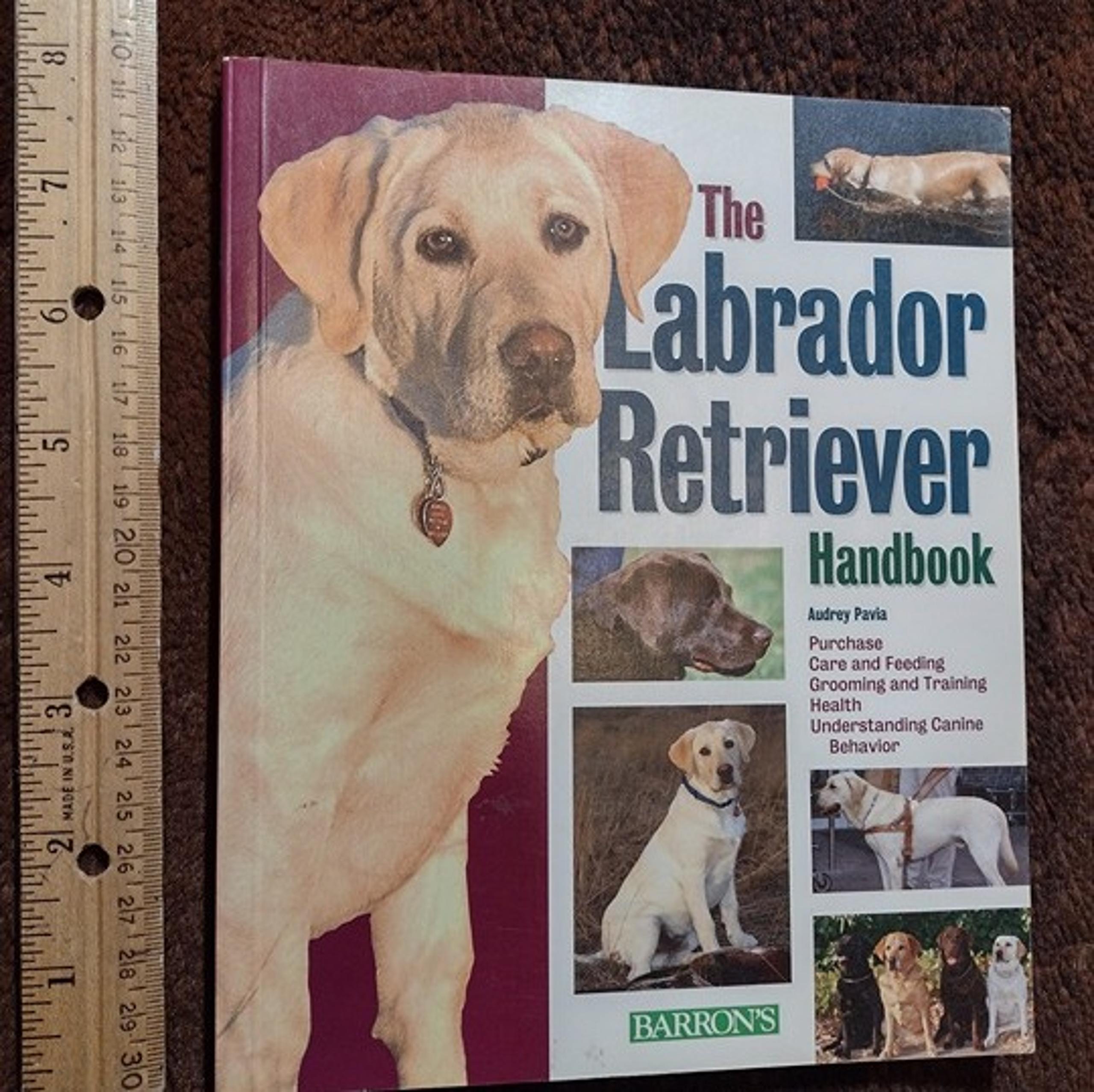 The Labrador Retriever Handbook Purchase Care Training Dog Book Pavia Barron's