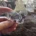 Beautiful Fluorite