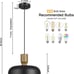 NIB Luminzone 2pcs Pendant Lighting Farmhouse Ceiling Hanging Light Fixtures