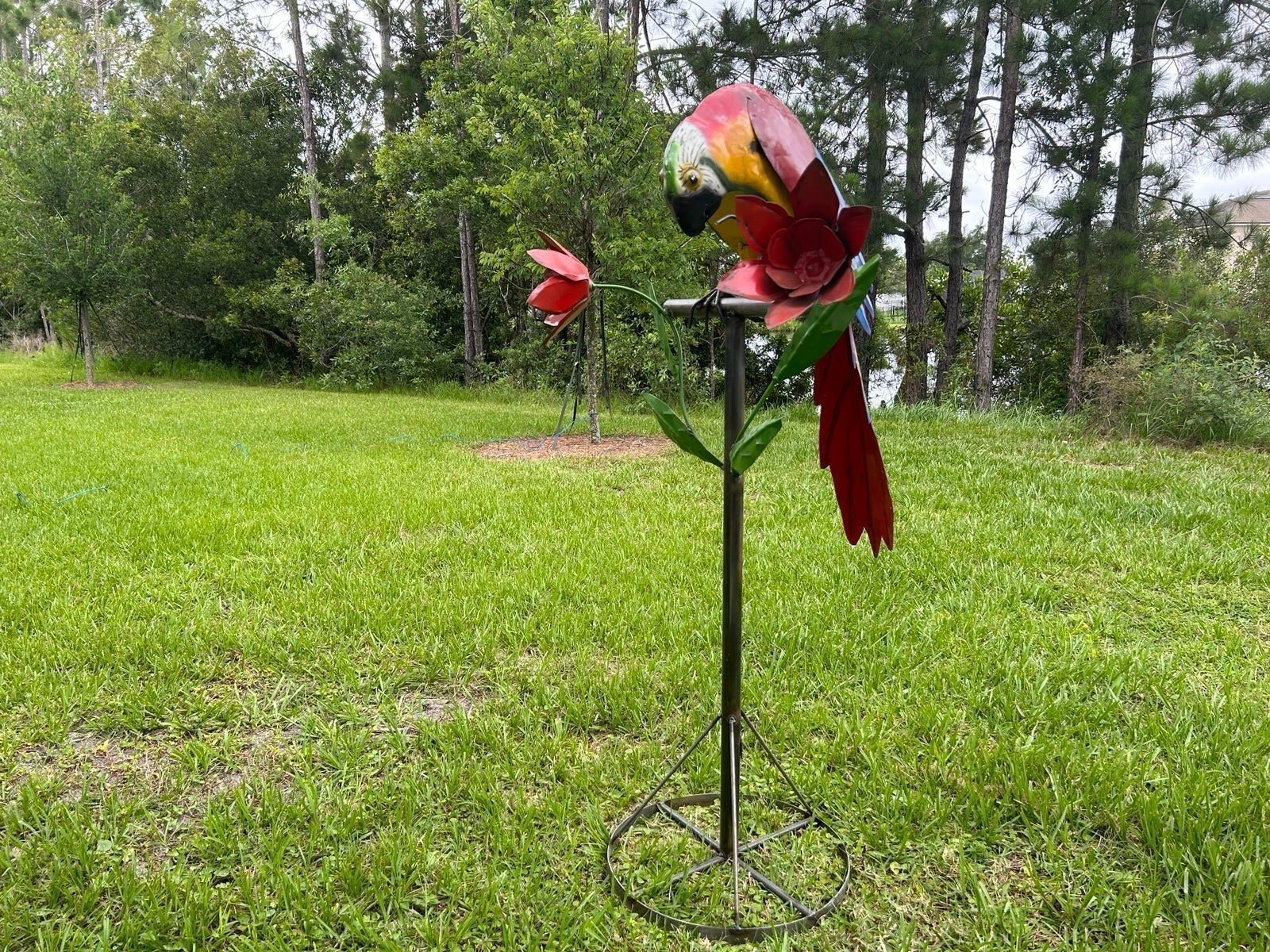 Ex large metal parrot