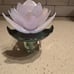 Bath & Body Works Tiana Adjustable Wallflowers Scent Control Nightlight
