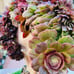 Rare big Aeonium ’Halloween‘ crested live Rooted，old trunk, bonsai get 2 free s