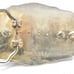 Vintage Belt Buckle BPOE