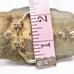 Vintage Belt Buckle BPOE