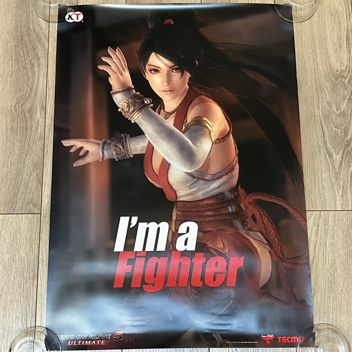 24枚まとめ売り中古DEAD OR ALIVE B2ポスター