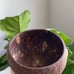 4 Coconut Bowl + 4 Free Coconut Spoons