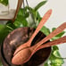 4 Coconut Bowl + 4 Free Coconut Spoons