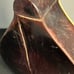 Antique 1930s Regal MayBell #32 Flatback Mandolin Hard To Find For Repair