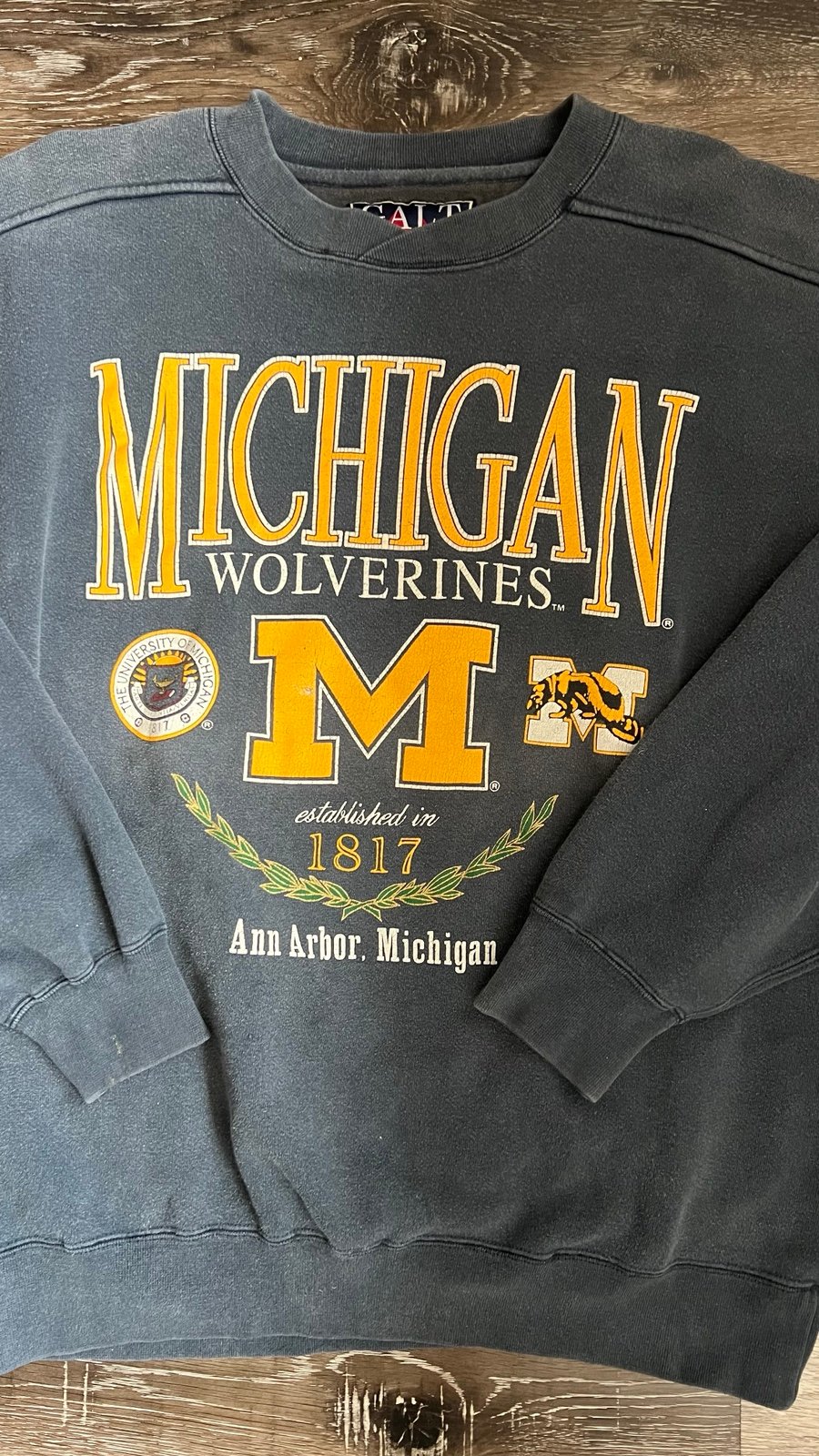 Vintage Michigan Wolverines Sweatshirt