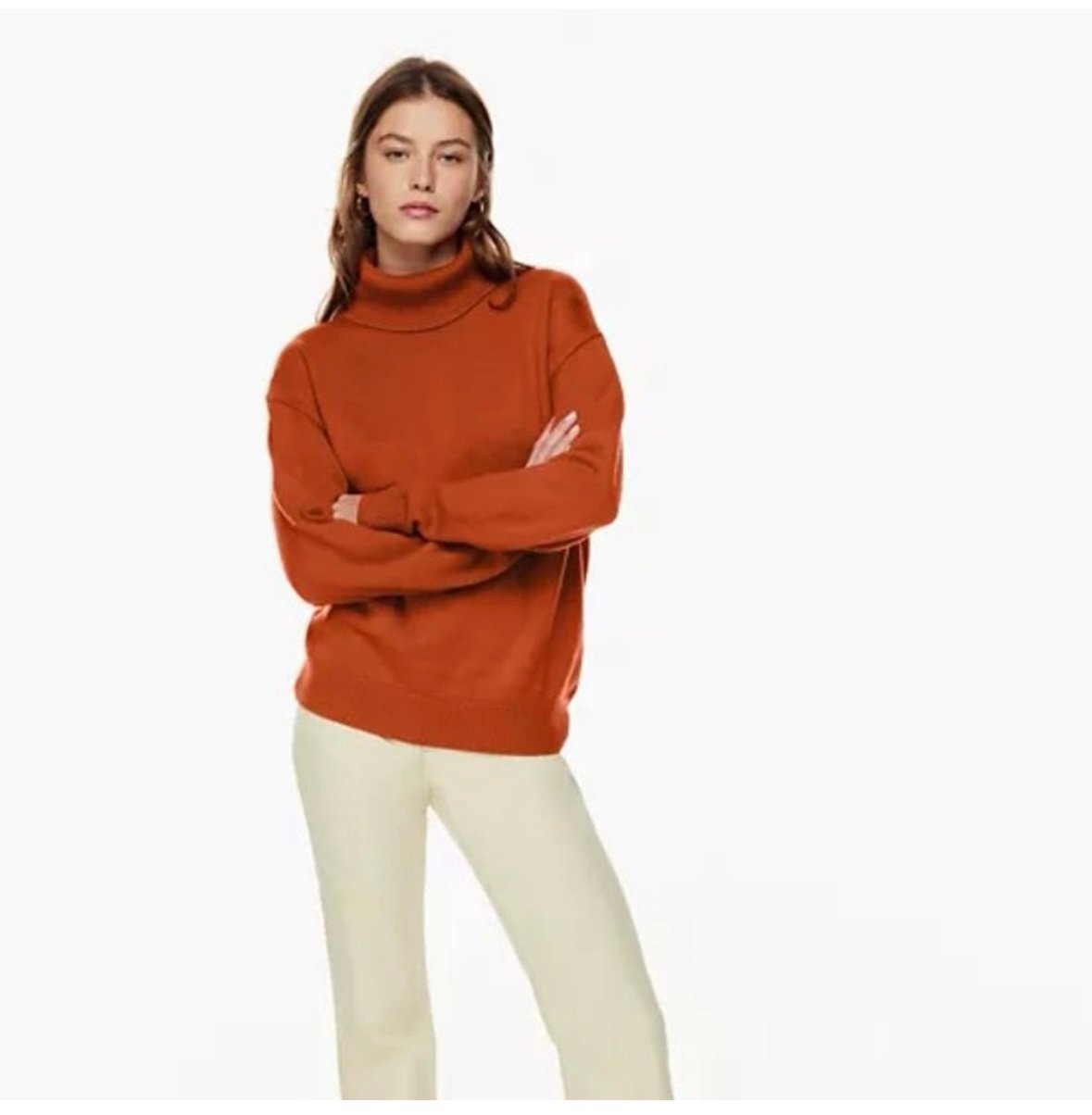 Aritzia Wilfred turtle neck wool sweater