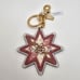Coach keychain