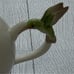 TELEFLORA Vintage LENA LIU Hummingbird and Lilies Teapot