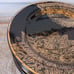 Holiday 08 Gilded Noel 10 Dinner Plates set of 18