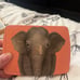 hourglass elephant palette