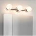 Vanity light