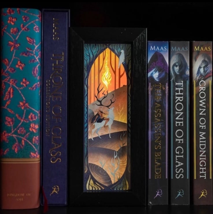 LitJoy Throne of Glass bookshelf alley