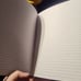 Grey journal