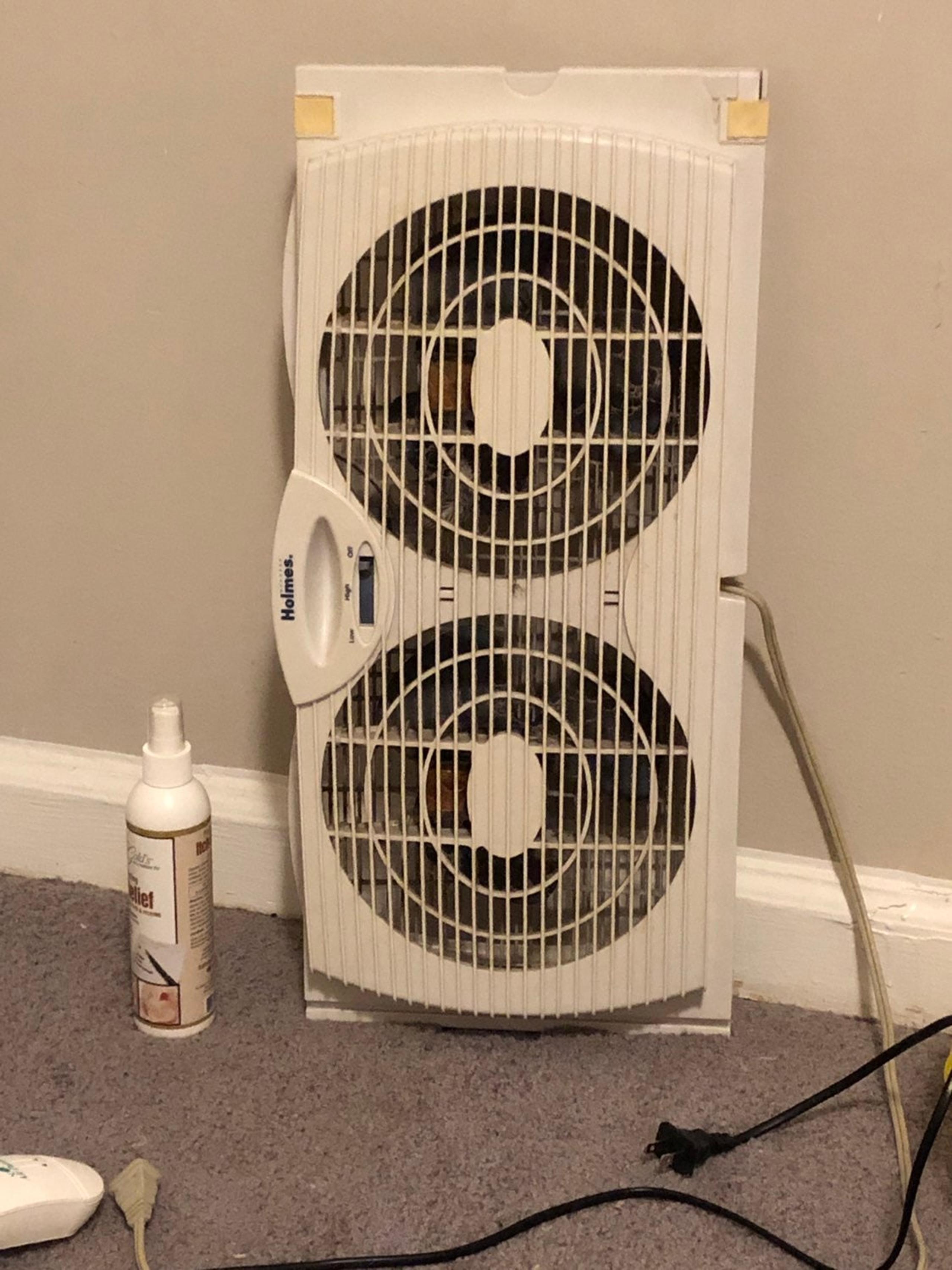 Window fan