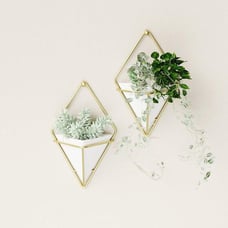 New Set of 2 Trigg Hanging Planter Vase for Wall Decor - (White/Brass)