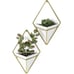 New Set of 2 Trigg Hanging Planter Vase for Wall Decor - (White/Brass)