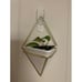 New Set of 2 Trigg Hanging Planter Vase for Wall Decor - (White/Brass)