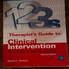 Therapist Guide to Clinical Intervention