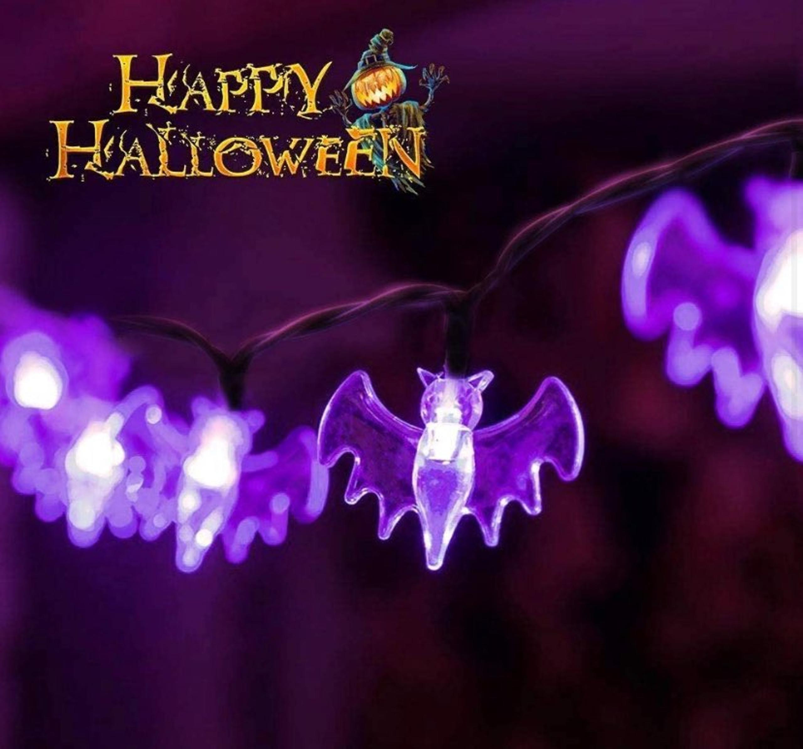 10ft String Lights with 20 LED