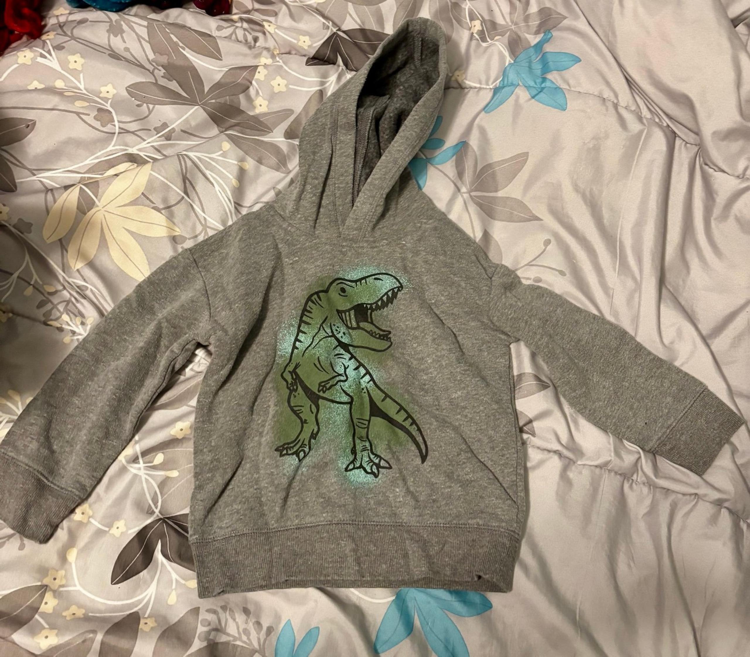 Jumping Beans toddler boy dinosaur hoodie