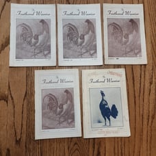 The Feathered Warrior