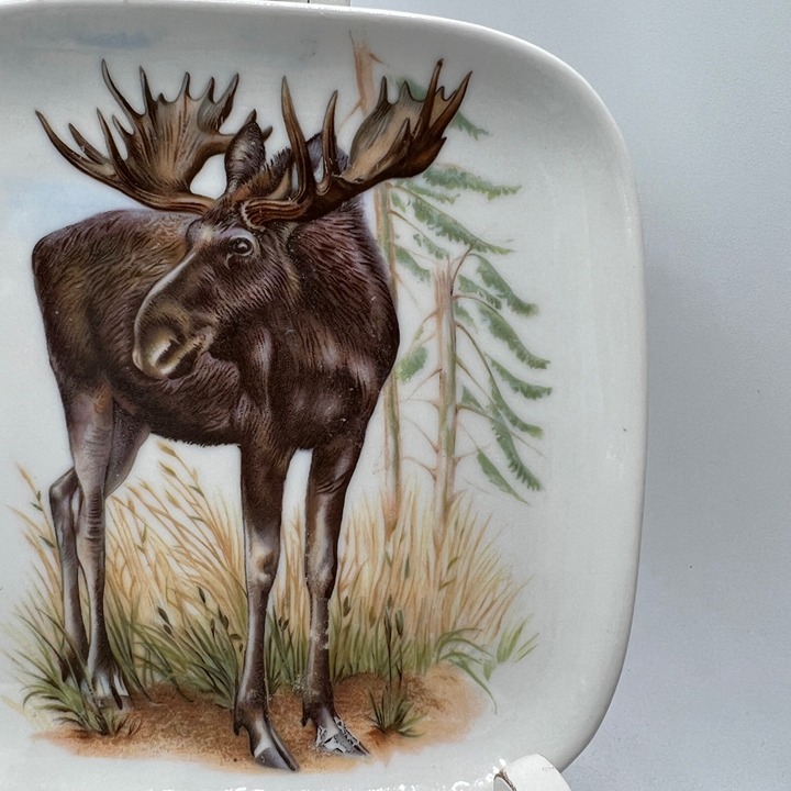 Schmidt Koblenz Bognstr 103 moose plate