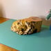 Rare Illinois Shaped Buckeye Burl Trinket Box