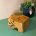 Rare Illinois Shaped Buckeye Burl Trinket Box