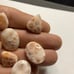 Pink Larimar