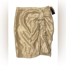 KAREN KANE CALL OF THE CANYON RIVIERA SKIRT NWT size XS champagne color women’s
