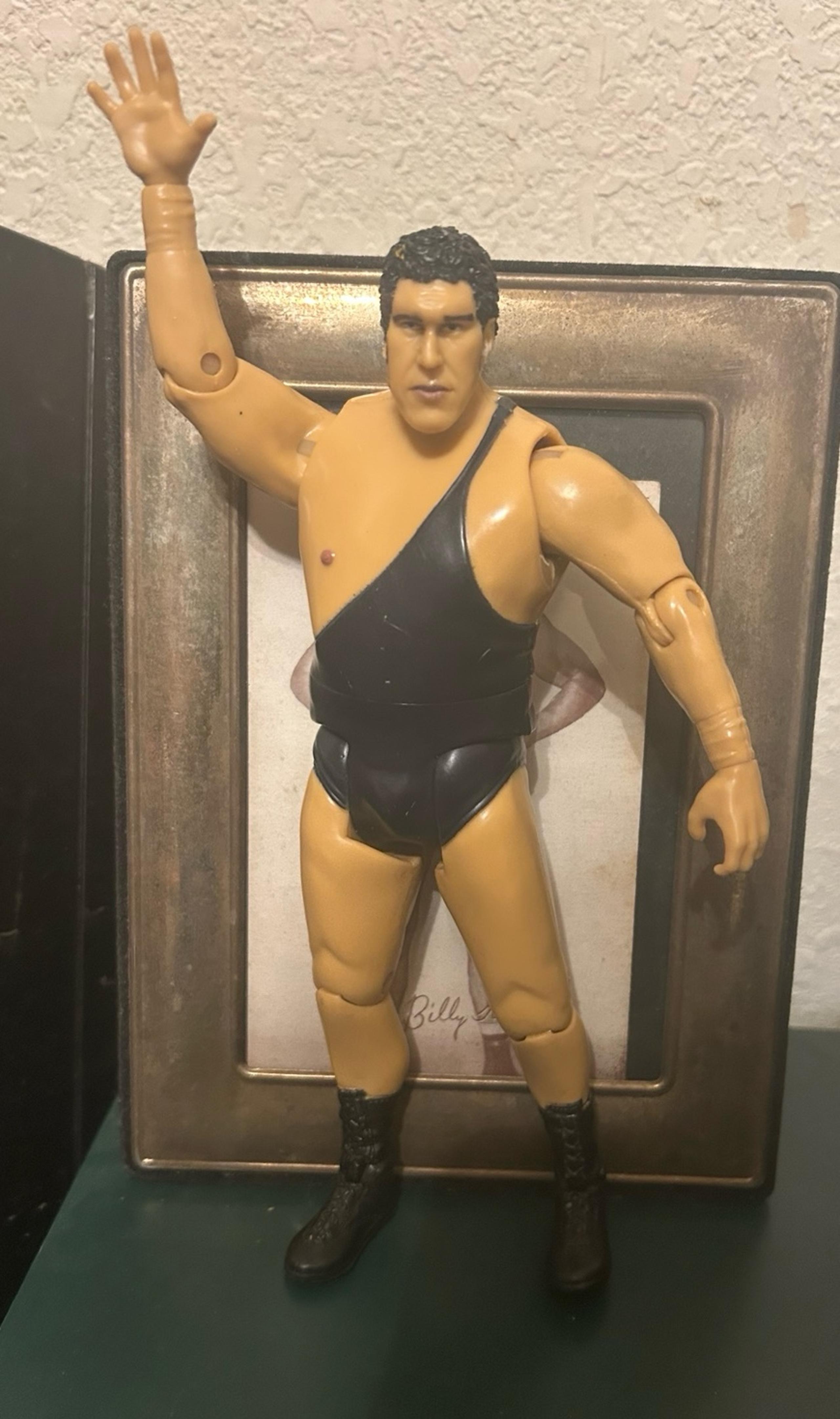 Jakks 2005 Classic Superstars Series 6 Andre the Giant Action Figure. - WWE