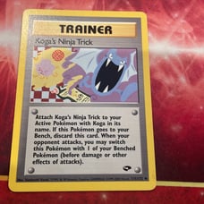 Koga’s Ninja Trick Gym Challenge Corrected Version