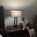 Bedroom Lamps for Night Stands - Touch Control, 3 Way Dimmable