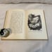 1918 Vintage Book something wrong By george webster