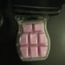 Scentsy Black Warmer And Brand New Wax Melt Lucky In Love Free Shipping